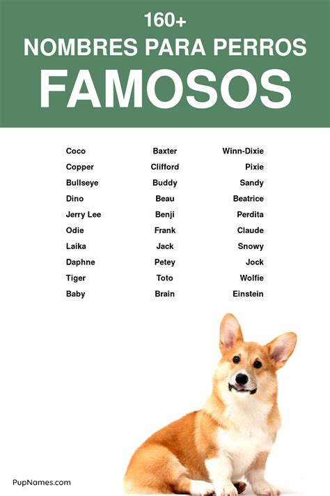 originales nombres para perros